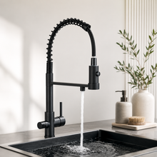Robinet de cuisine à double bec avec sortie eau filtrée – Bellacqua Sona — vue 2