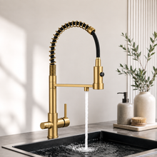 Robinet de cuisine à double bec avec sortie eau filtrée – Bellacqua Sona — vue 9