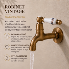 Robinet extérieur mural en laiton à finition vieillie, sortie simple ou embout pour tuyau d’arrosage – Bellacqua Giardino