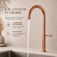 Robinet de cuisine à bec col-de-cygne, rotation 360° – Bellacqua Rosa — vue 5